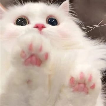 Amit profile picture